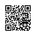 13102176000 PISTON (0.25)