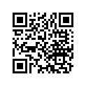 13103-011-010 Piston (os) (0.50)