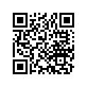 13103-028-314 Piston (os) (0.50)