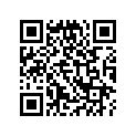 13103-116-010 Piston (os) (0.50)