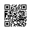 13103-124-830 Piston (os) (0.50)