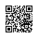 13103-153-000 Piston (os) (0.50)