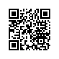 13103-176-000 PISTON(0.50)