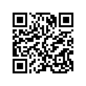 13103-177-000 Piston (os) (0.50)