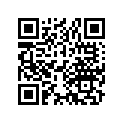 13103-206-000 Piston (os) (0.50)