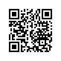 13103-217-000 Piston (os) (0.50)
