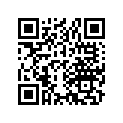 13103-240-000 Piston (os) (0.50)