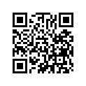 13103-266-020 Piston (os) (0.50)