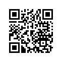 13103-268-010 Piston (os) (0.50)