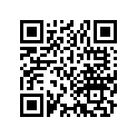 13103-312-010 Piston (os) (0.50)