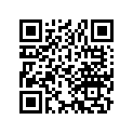 13103-323-000 PISTON