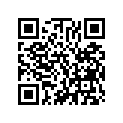 13103-329-000 Piston (os) (0.50)