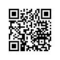 13103-330-000 PISTON
