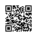 13103-357-000 Piston (os) (0.50)