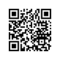 13103-360-810 Piston (os) (0.50)
