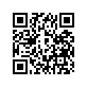 13103-361-003 PISTON (OS) (0.50)
