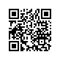 13103-362-000 Piston (os) (0.50)