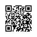 13103-365-000 Piston (os) (0.50)