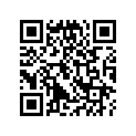 13103-377-000 Piston (os) (0.50)
