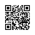 13103-383-000 PISTON (0.50)