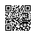 13103-383-010 PISTON (0.50)