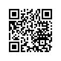 13103-384-000 PISTON (0.50)