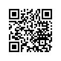 13103-392-020 Piston (os) (0.50)