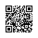 13103-422-003 Piston (os) (0.50)