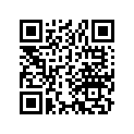 13103-429-000 Piston (os) (0.50)