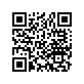 13103-447-671 Piston (os) (0.50)