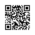 13103-848-000 PISTON(OS)(0.50)