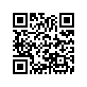 13103-943-010 Piston (os 0.50)