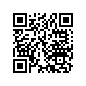 13103-965-000 Piston (os 0.50)