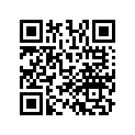 13103-GAH-505 PISTON,OS 0.50