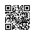 13103-GC4-730 Piston (os) (0.50)
