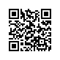 13103-GFM-900 PISTON (0.50)