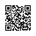 13103-HA2-770 Piston (os 0.25)