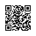 13103-HA2-772 Piston (os 0.25)