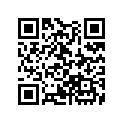 13103-HN2-010 PISTON (0.50)