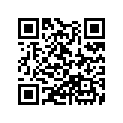 13103-HW1-670 Piston (os) (0.50)