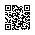 13103-KA4-711 Piston (os) (0.50)
