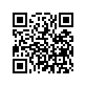 13103-KF0-003 Piston (os) (0.50)
