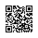 13103-KS4-305 Piston (0.50)