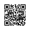13103-MAL-306 Piston,0s 0.50