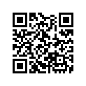 13103-MB4-000 Piston (os) (0.50)