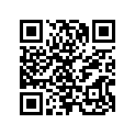 13103-MG3-003 Piston (os) (0.50)