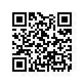 13103-MK2-305 Piston,os 0.50