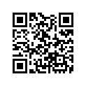 13103-MK2-315 Piston (os) (0.50)