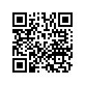 13103-MK8-306 Piston (os) (0.50)