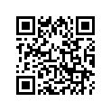 13103-ML5-000 Piston (os) (0.50)